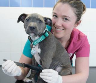 Macie with knife and vet Emily Ronald