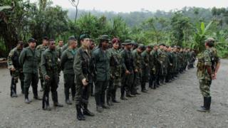 Guerrilleros de las FARC