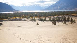 Paisaje del desierto Carcross.