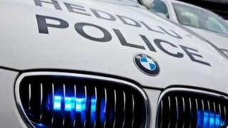 police car