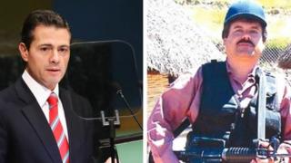 Pena Nieto y Guzman