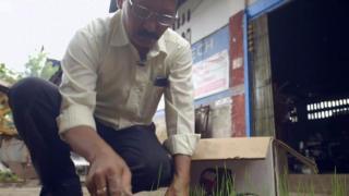 उद्धव भराली