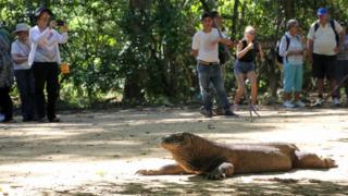 Komodo