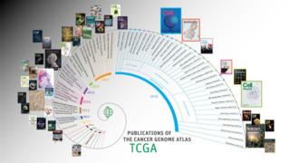 El Atlas del Genoma del Cáncer
