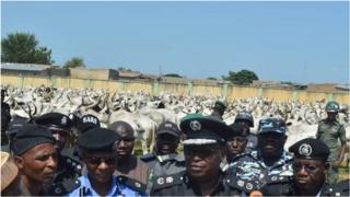 KANO POLICE