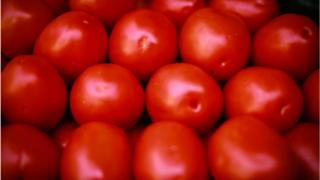 Tomato