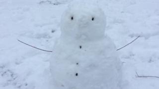 Snowman with stick arms