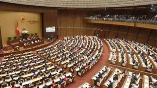 Việt Nam, chính phủ, đặc khu
