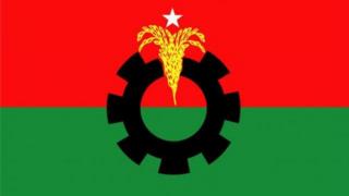 বিএনপির লোগো।