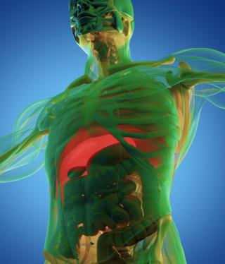 Image of a 3D scan of human anatomy