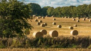 Aberdeenshire countryside
