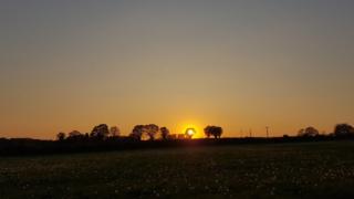 Sunset
