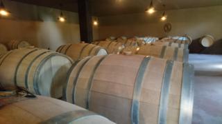 Barriles de vino