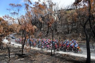The peloton rides through a bushfire-damaged area in the Adelaide Hills during stage two of the Tour Down Under from Woodside to Stirling in South Australia.