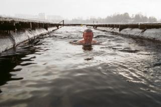 Моржи