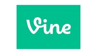 Vine