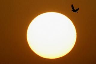 The sun rises in Egypt's capital, Cairo, Egypt, on 1 June.