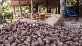 Oficina de produção de tiquira