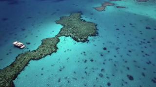 What is biodiversity?