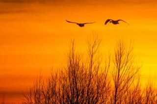 Sunset at Farmoor reservoir on the River Thames