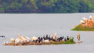 சூலூர் இடைத்தேர்தலில் வெல்லப்போவது யார்? கட்சிகள் பல பரிட்சை