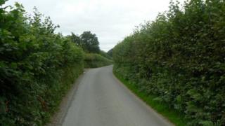 Hedges near Llwynderw, Powys