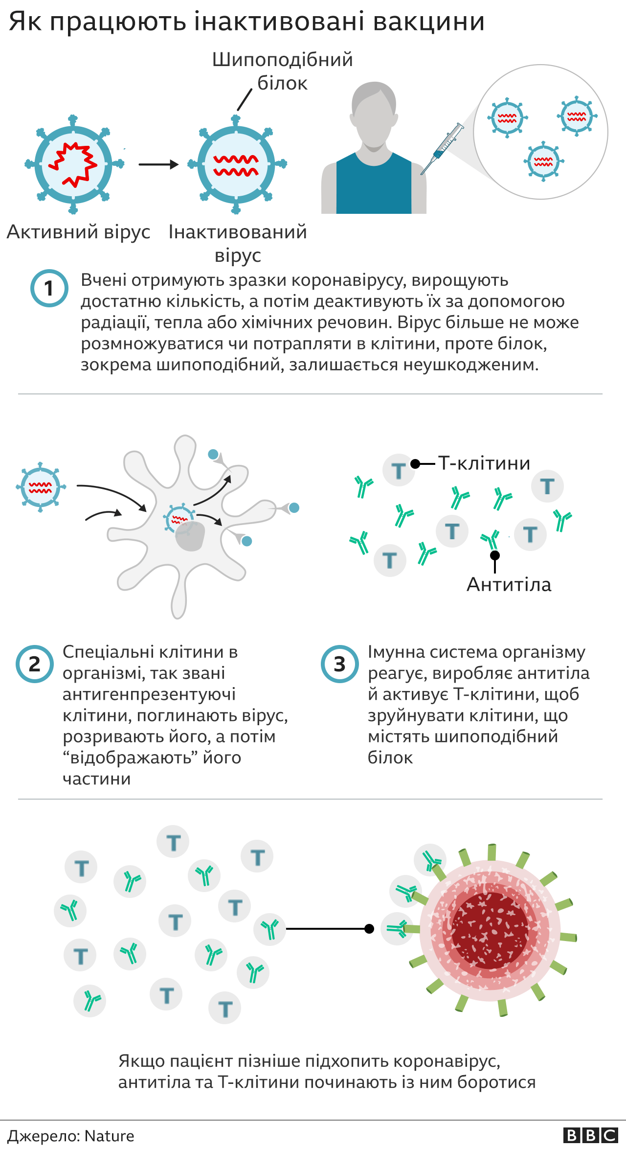 Чи ефективна китайська вакцина від коронавірусу CoronaVac - BBC News ...