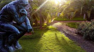 (图片来源:Anima Garden/Suzi Stoeckl)