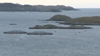 Bàigh na Hearadh