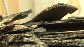 Bog oak