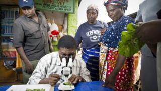 "Abaganga b'ibihingwa" ubu bashobora kuburira abahinzi ko indwara zibasira ibihingwa ziri hafi, kugira ngo bafate ingamba zikwiye zo kuzirinda imyaka yabo
