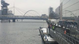 Cow in River Clyde