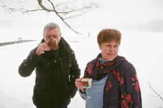 Моржи