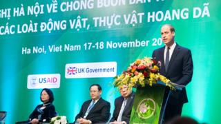 Hoàng tử Anh William dự Hội nghị Chống mua bán trái phép động vật hoang dã