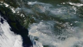 Изображение со спутника Nasa показывает дым от лесных пожаров, покрывающих Британскую Колумбию