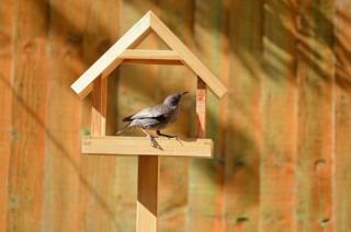 Bird table