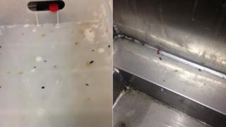 Composite image of droppings