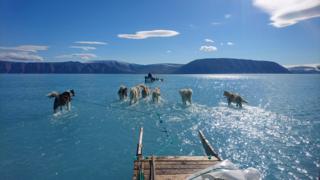 Climate scientist Steffen Olsen took this picture while travelling across melted sea ice in north-west Greenland