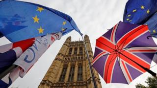 Flags in Westminster