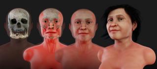 Ilustración de etapas de la reconstrucción forense del rostro de Eva de Naharon