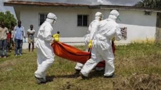 10 тисяч людей загинули від Еболи в Африці
