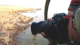 Norman Duke taking photo of dead mangroves out of helecopter