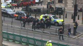 Armed police arrest a man in Whitehall