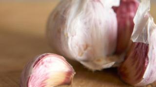 Garlic