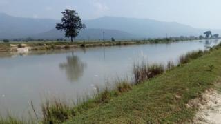 गण्डक नहर