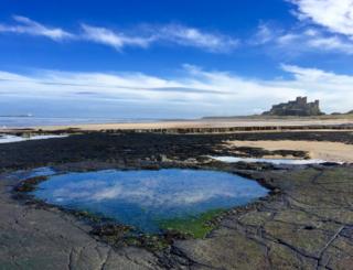 Reflections in a rockpool