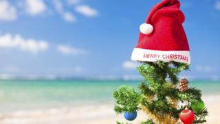 A Christmas tree pictured by the sea