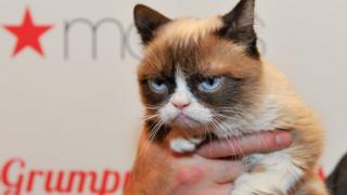 Grumpy cat at appearance for Christmas film at Macys in 2014.