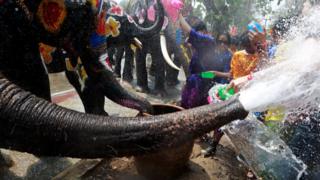 Watu na ndovu wakichezea maji wakati wa tamasha la maji la Songkran.