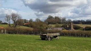 Rural scene in Lincolnshire